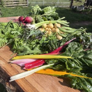 Weekly Veg Box – Fresh, Seasonal, Grown Here